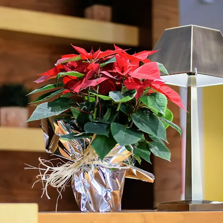 Hospedium Casino Del Tormes Hotel 4*