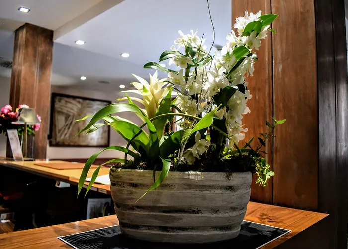 Hotel Hospedium Casino Del Tormes